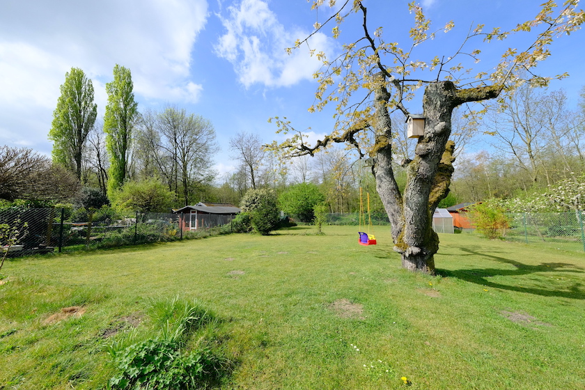 Garten Einfamilienhaus Haan
