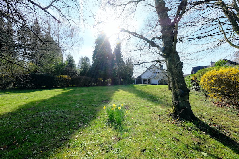 Garten Einfamilienhaus Solingen